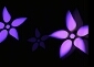 Forum image